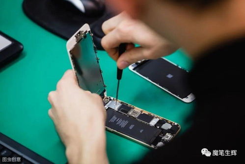 年輕人創(chuàng)業(yè)好項目,職場者做副業(yè)的好選擇,互聯(lián)網(wǎng)時代副業(yè)剛需